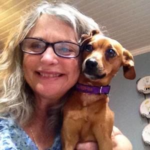 Meet your Posher, Wanda